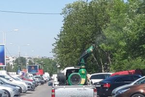 Continua actiunile de dezinsectie in spatiile verzi dintre blocuri si la platformele de deseuri