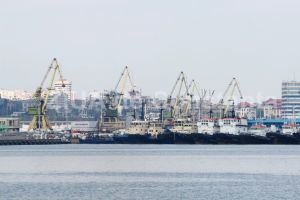 Administratia Porturilor Maritime Constanta: Traficul de marfuri in porturile maritime romanesti, in crestere de la inceputul anului 2020