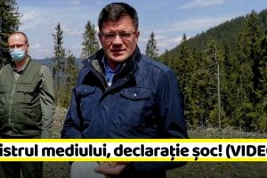 Ministrul Mediului: trenurile cu lemn filmate, veneau în România, nu plecau din România (VIDEO)