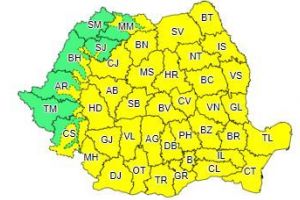 Cod galben de vânt pentru judeţul Teleorman