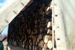 Transport de lemne cu acte dubioase, confiscat în Bihor