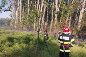 Incendiu in judetul Tulcea. Vezi unde s-a intamplat si cu ce forte de interventie actioneaza pompierii (galerie foto)