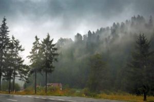 COD GALBEN în Alba: Vânt puternic cu rafale de peste 70 – 75 km/h
