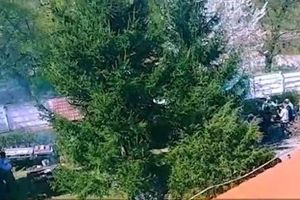 VIDEO: Chef în curtea Centrului Chinologic din Sibiu în plină pandemie – Grătar cu şefi şi angajaţi ai instituţiei