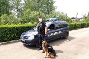 Din judeţ: Alte 47 persoane venite din state aflate în zona roşie de risc au fost introduse în carantină