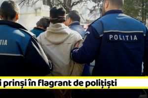 NEAMȚ: Hoţi prinşi în flagrant de poliţişti