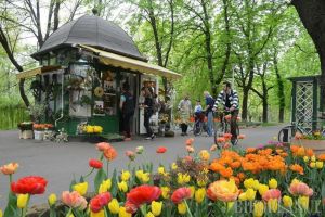 S-a terminat! Primăria Oradea a reziliat contractul cu firma lui Marius florarul pentru chioşcul din Parcul Libertăţii
