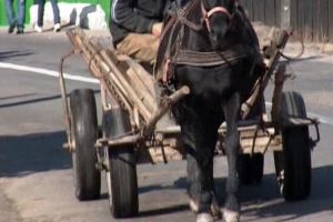 Accident rutier provocat în comuna Ciumani, de un căruţaş aflat sub influenţa alcoolului