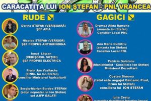 Cum îşi angajează PNL rudele şi amantele. Studiu de caz Ion Stefan, ministrul Dezvoltarii