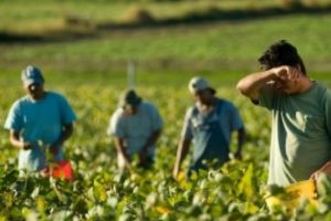 SCANDAL de proporţii! Ororile prin care trec muncitorii români sunt 'aprobate' de către politicienii din Germania