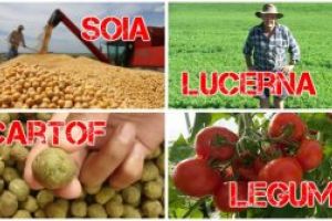 Plăţile pentru sprijinul cuplat în sectorul vegetal vor începe din 16 mai, anunţă ministrul Agriculturii