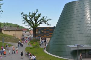 Condiţii de vizitare la Grădina Zoologică din Braşov, din 19 mai