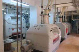 Afacere de 4,4 milioane de euro din Botoşani, vândută la licitaţie. Investiţia a fost iniţiată de un cunoscut om de afaceri