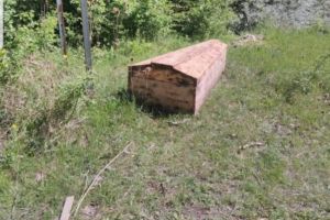 Cetăţeni din Jitia băgaţi în sperieţi de un copârşeu abandonat în pădure!