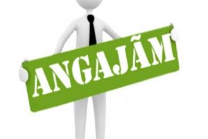 Angajări la Piscicola. Se caută şoferi şi lucrător comercial