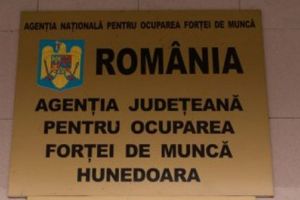 Situaţia plăţilor efectuate în judeţul Hunedoara pentru şomajul tehnic