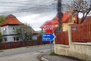 Indicator de orientare instalat greşit pe o stradă din Topliţa