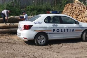 Continuă acţiunile de combatere a furtului de lemne