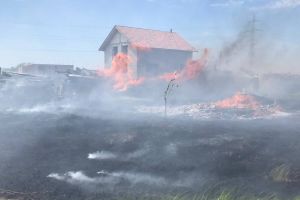 Incendiu de vegetaţie uscată în localitatea timişeană Moşniţa Nouă