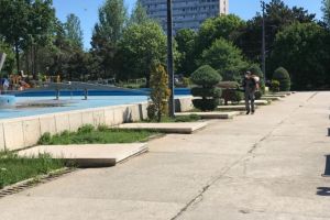 Continua actiunile de dezinsectie la Constanta. Unde se va actiona astazi 