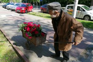 FOTO Imaginile care au impresionat botoşănenii! Un bătrânel a pus câţiva bujori într-un căruţ şi a mers pe străzi să îi vândă. „Mergea tăcut, încet, fără să zică nimic”