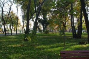 Momentul mult asteptat a venit / Se da liber la plimbari in parcurile din Braila