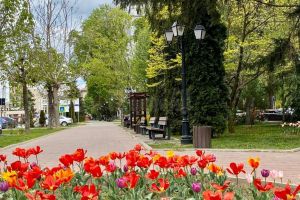Parcurile şi zona de agrement Tătăraşi, deschise publicului, imediat după încetarea carantinei