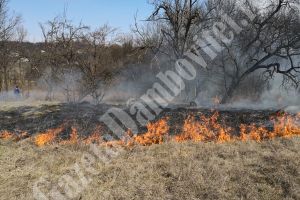 Garda de mediu: Este interzisă incendierea resturilor vegetale, a miriştilor, a terenurilor!