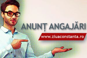 Gamaro Dinamic Structure SRL: Angajari - Locuri de munca