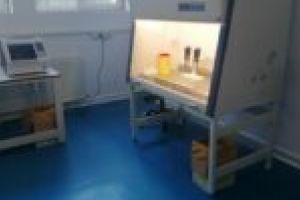 FOTO. Cel mai nou laborator de testare COVID-19 a fost inaugurat azi la Timişoara