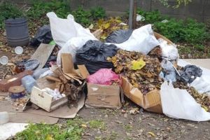 Poluarea din Timişoara şi alte oraşe din ţară, criticată de Comisia Europeană. Se solicită închiderea depozitelor ilegale de deşeuri