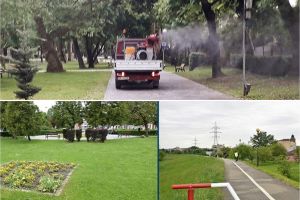 Primăria Satu Mare a demarat acţiunile de combatere a căpuşelor