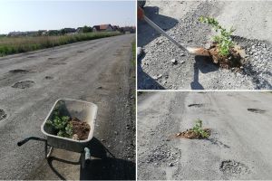 FOTO. Protest cu flori pe ,,Autostrada Codrului”. Oamenii îşi strigă din nou nemulţumirea