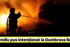 NEAMȚ: Incendiu pus intenţionat, azi-noapte, la Dumbrava Roşie