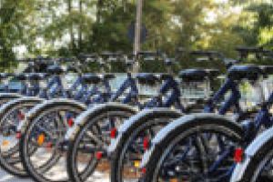 Parcurile şi grădina zoologică din Reşiţa, deschise pentru vizitatori! Și bicicletele pot fi închiriate începând de astăzi