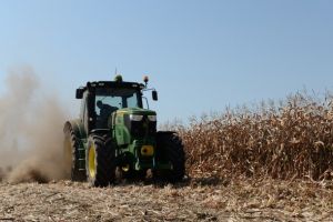 Înscrierea GOSPODĂRIILOR în registrul agricol, OBLIGATORIE! Ce SANCȚIUNI riscă cei care nu se conformează