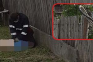 (VIDEO) BICICLETA PE GARD, BICICLISTUL – GRAV RĂNIT!