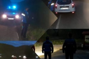 Ursoică cu trei pui, îndepărtată de jandarmi de lângă grădina unui localnic din Gheorgheni