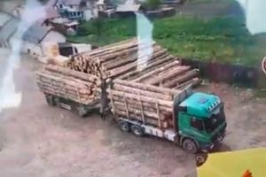 Verificări în fondul forestier administrat de Ocolul Silvic Moldoviţa, la solicitarea ...