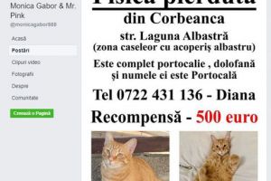 MONICA GABOR, STRIGĂT DE AJUTOR PE FACEBOOK! CE VESTE TRISTĂ A PRIMIT VEDETA
