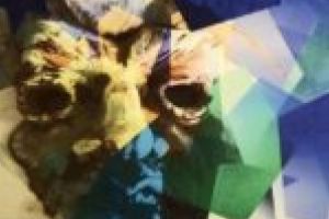 FOTO. Muzeul de Artă Timişoara se redeschide cu o expoziţie de artă digitală