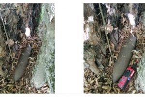 Misiune pirotehnică, în zona localităţii Vlăhiţa. Căuta ciuperci şi a găsit muniţie
