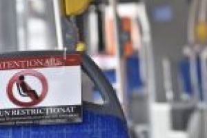 RAT Craiova SRL: Noi reguli generale de organizare si desfasurare a transportului de personae in Municipiul Craiova