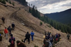 Este nevoie de voluntari pentru plantat puieţi în pădurile comunei Ilva Mică