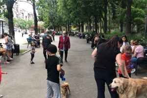 LĂMURIRI PRIVIND CIRCULAŢIA ÎN STARE DE ALERTĂ