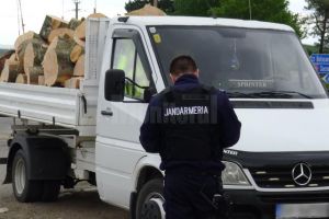 Transporturi ilegale de material lemnos, interceptate de echipaje de jandarmi