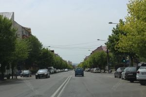 Răspunsuri oficiale la întrebări despre deplasări, restricţii şi amenzi în starea de alertă