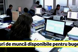 NEAMȚ: Locuri de muncă disponibile pentru bugetari la data de 17 mai