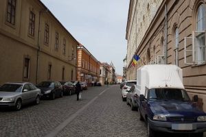 Bizonii au revenit pe străzile pietonale din Timişoara, dar au fost alungaţi de poliţişti
