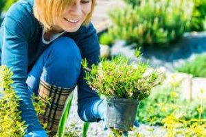 #ConstantaEsteBine: Stat in natura